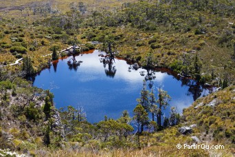 Wombat Pool - Valle Cradle - Tasmanie